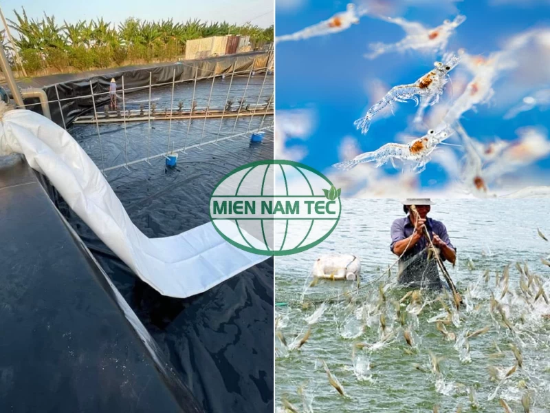 Ứng dụng túi lọc nước trong nuôi tôm