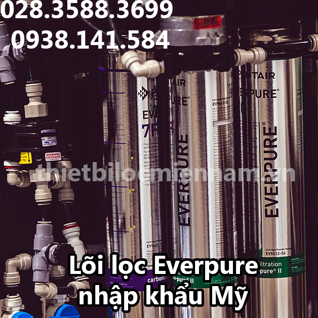 Lõi lọc tinh Everpure Pentair