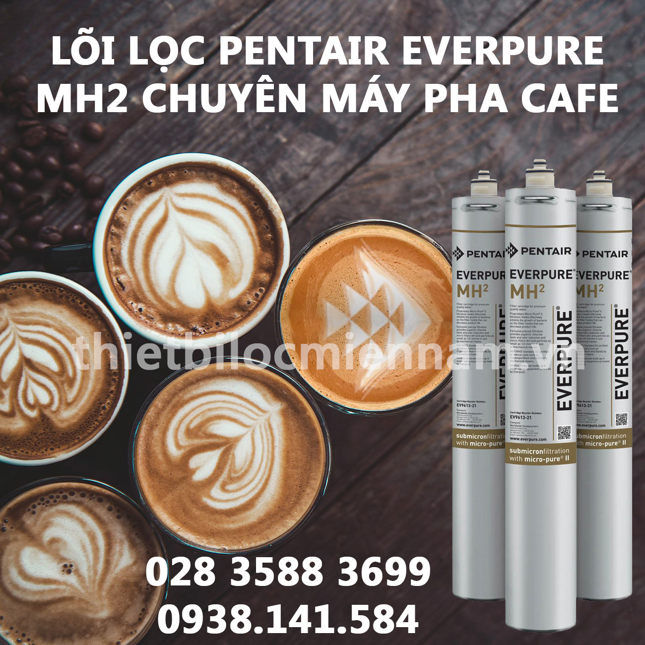 Lõi lọc tinh Everpure MH2 cho máy pha cafe
